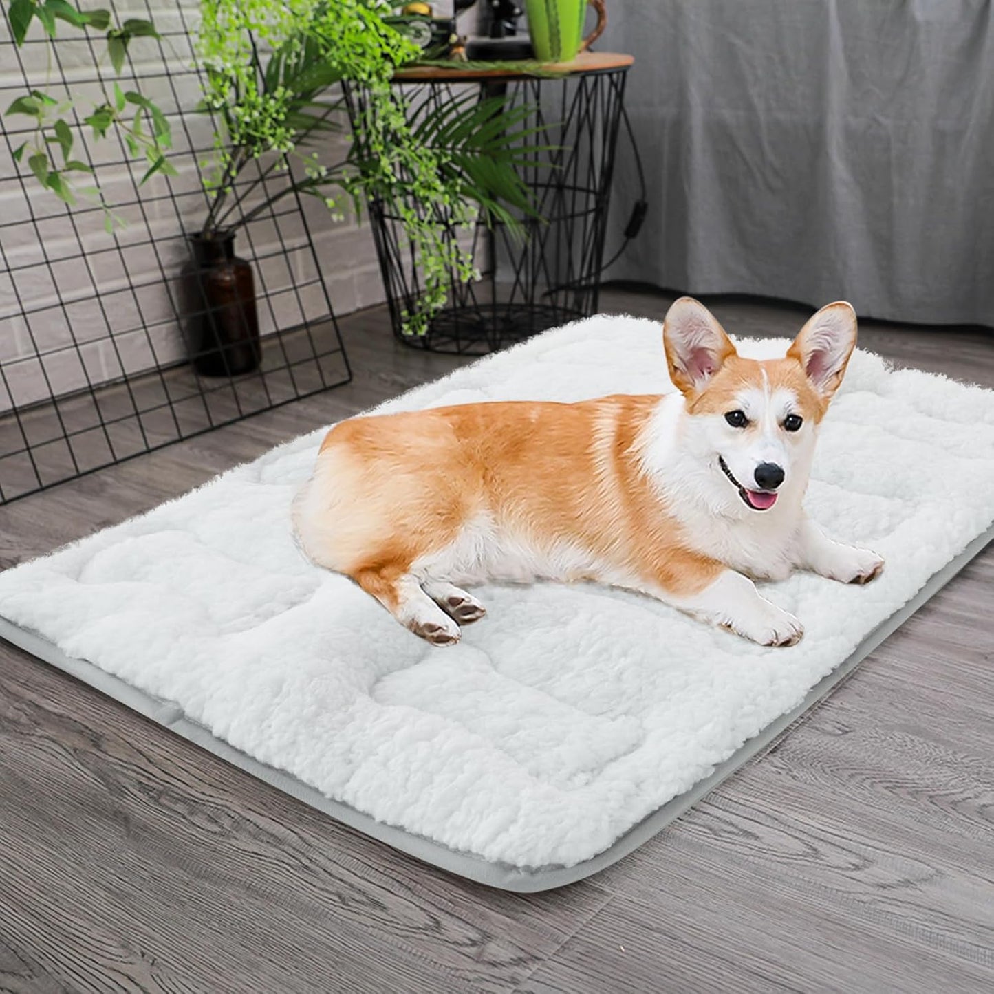 Dog Bed Crate Mat(30" X 19"), Soft Plush Dog Bed Pad Machine Washable Crate Pad, Sleeping Mat with Anti Slip Bottom