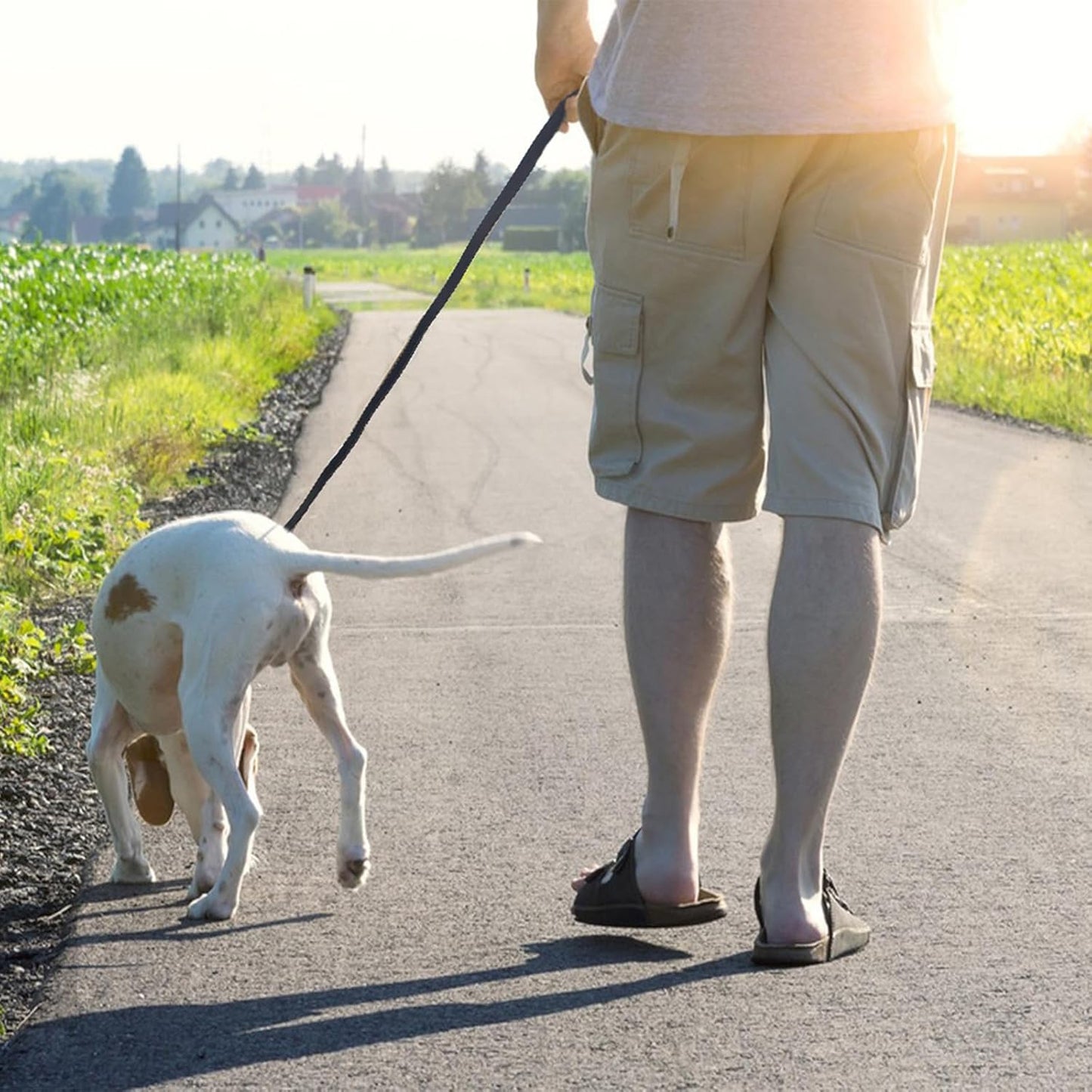 LWBMG Black Leather Dog Leash 8ft, Heavy Duty, Strong and Sturdy Braided, Soft and Comfortable for Medium Large Dogs Training and Walking