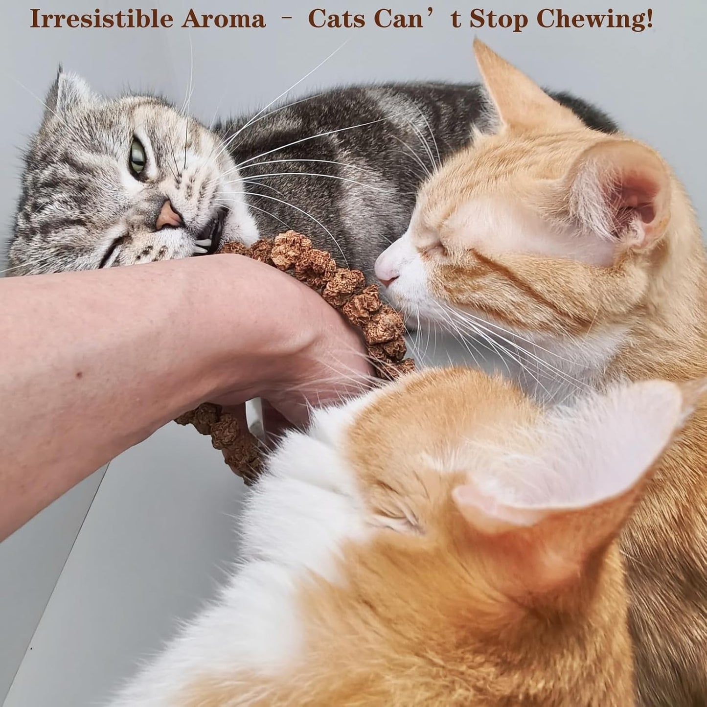 Natural Silvervine Gall Fruit Cat-Attracting Bracelet,Interactive Cat Toy for Relaxing and Teething, Catnip Alternative (Small Gall Fruit)