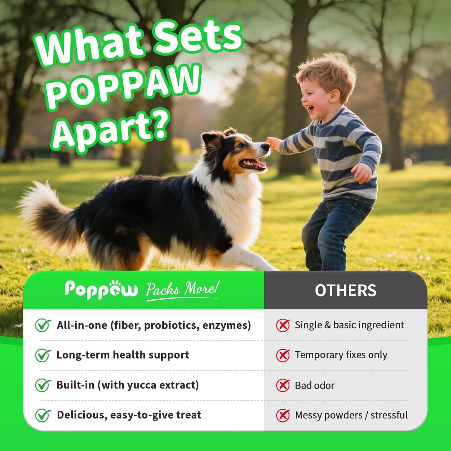 Dog Probiotics & Digestive Enzymes – Pumpkin Fiber Chews for Gut Health, Diarrhea & Upset Stomach Relief, Gas & Stool Support, Chicken Flavor Soft Chews – 90 Count