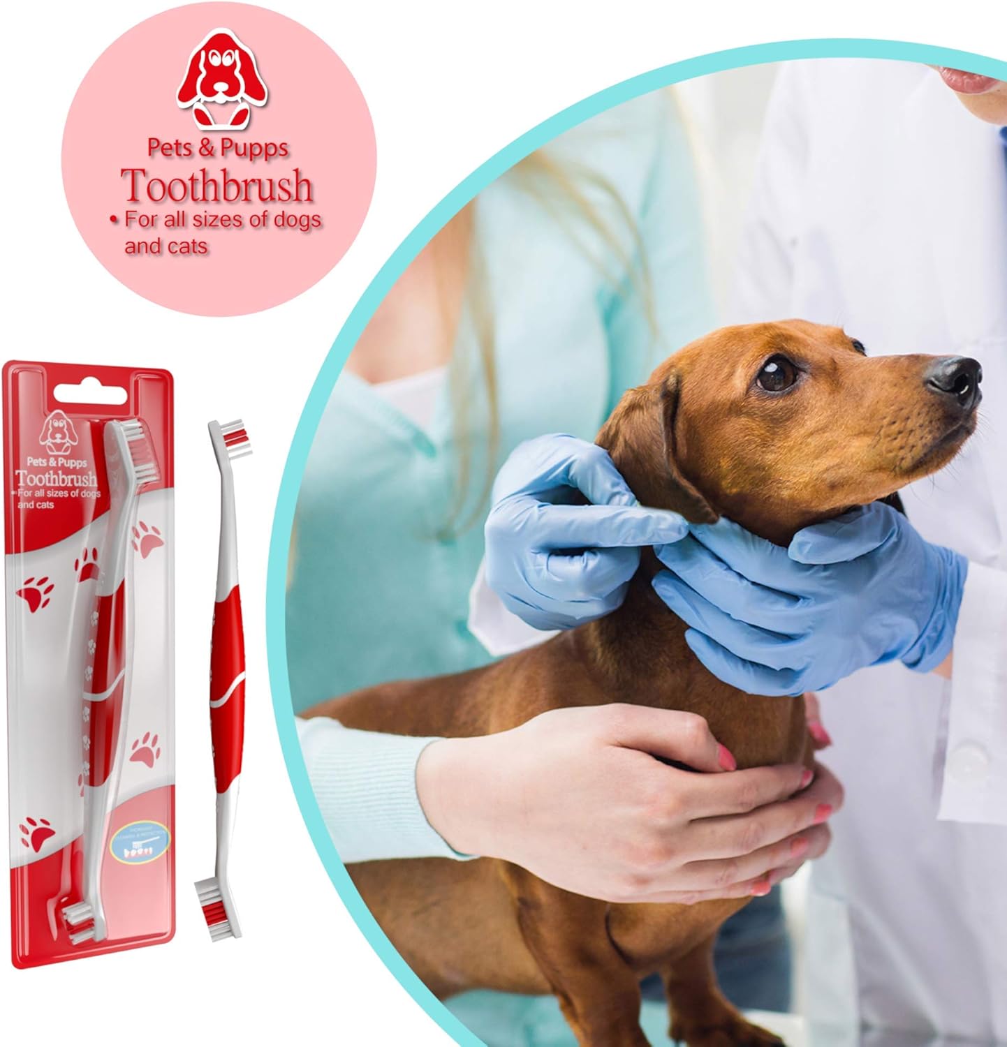 Pet Toothbrush for Dogs, Cats with Soft Bristles - Easy Teeth Cleaning & Dental Care, Non Slip Dual Head Dog Toothbrush for Medium & Large Pets, Toothpaste Not Included, Pack of 2
