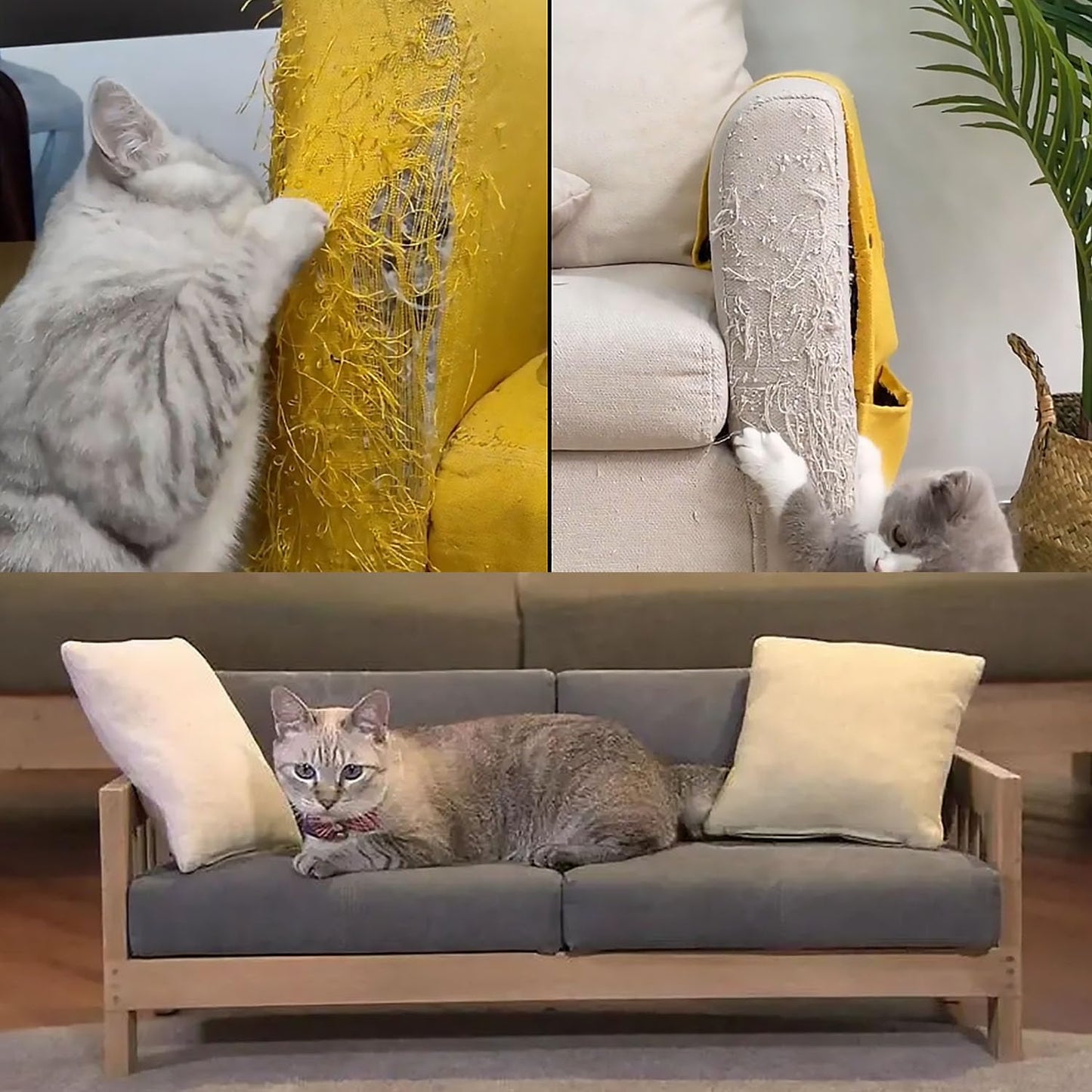 Anti Cat Scratch Tape, 3" x 30Yds,Cat Training Tape, 100% Transparent Clear Double Sided Cat Scratch Deterrent Tape, Furniture Protector for Couch, Carpet, Doors, Pet & Kid Safe Chuangseed