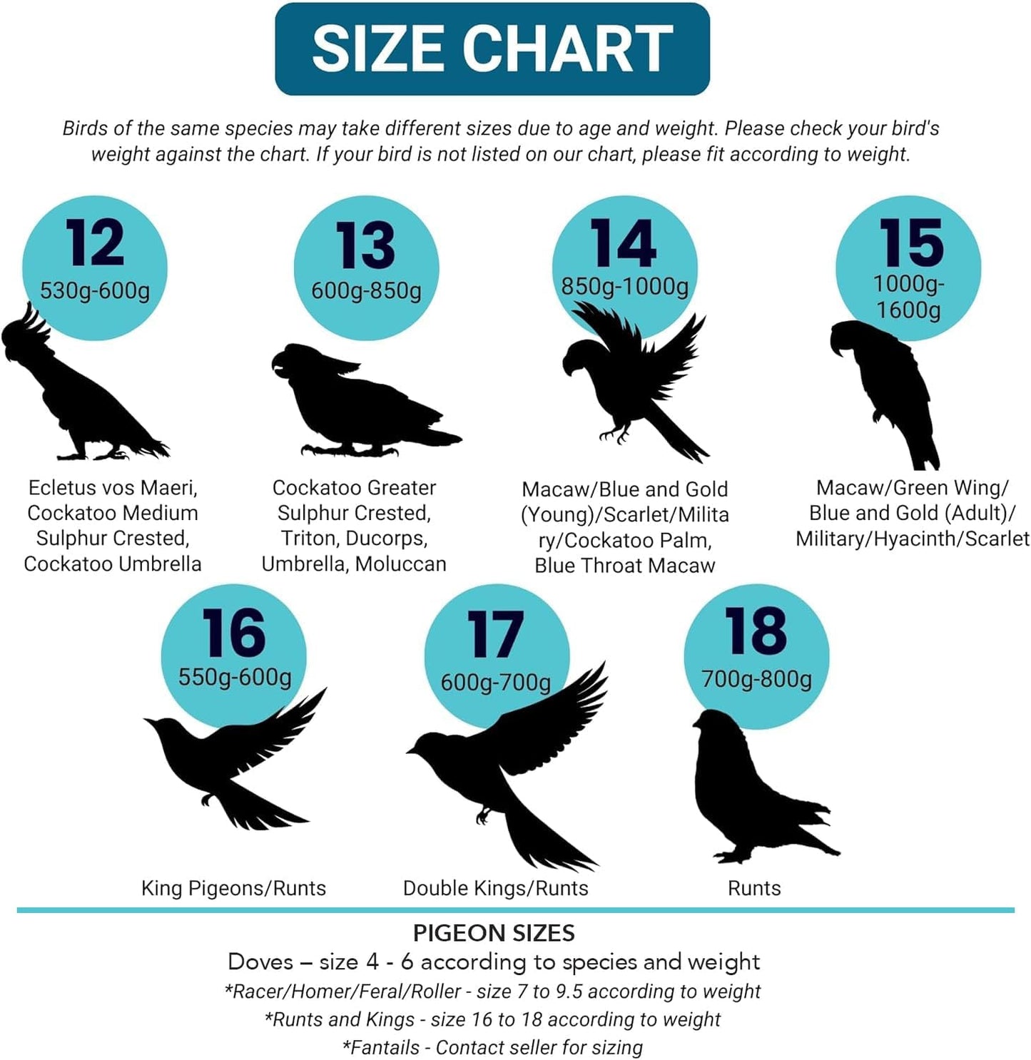 Bev's Birds Boutique - Regular Flyper, Classy Bird Size 16