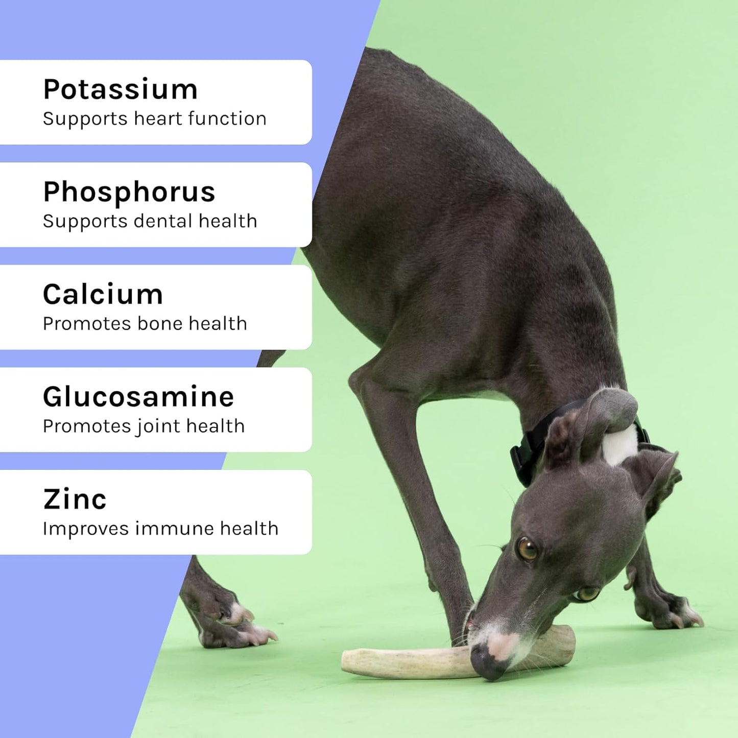 Good Trouble Premium Deer Antlers for Small Dogs – 1 Whole Antler Pets - North American Sourced Deer Antlers for Dental Health & Anxiety Relief - Odor-Free & Non-Toxic Chew Bone for Dogs