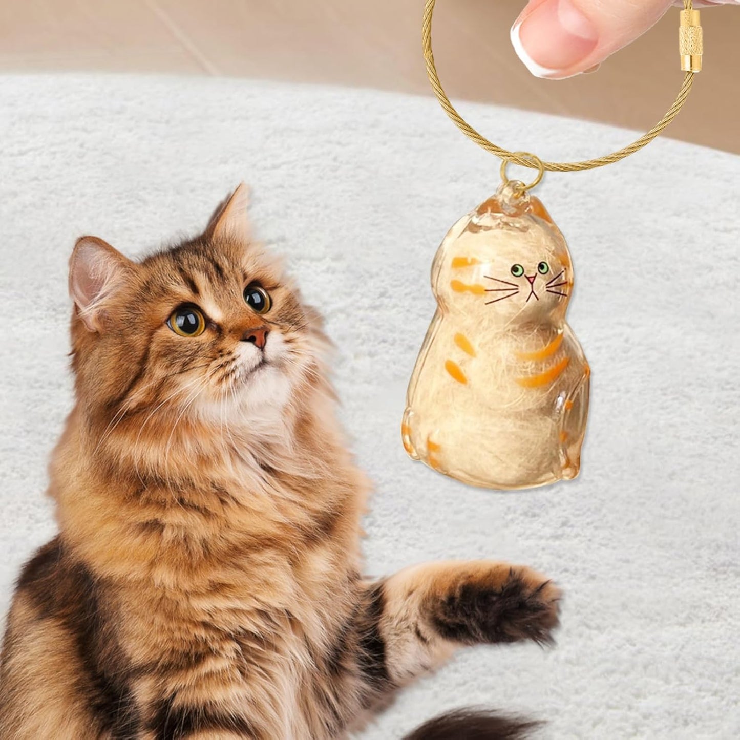 6 Pcs Cat Hair Storage Bottle Keychain, Cute Cat Fur Keepsake, Transparent Cats Hair Storage Box Pendants, Pet Memorial Gifts Accessories For Friends Wallet Backpack Handbag Keychain