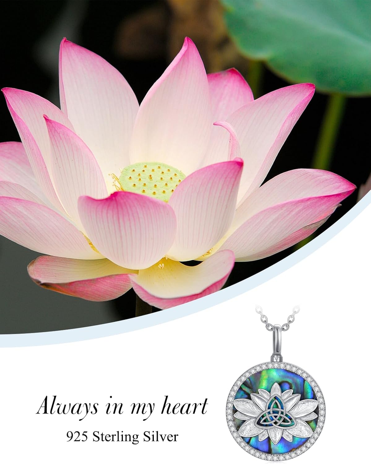 WINNICACA Urn Necklace for Ashes Sterling Silver Abalone Shell Cremation Jewelry for Ashes Jewelry Gifts for Nature Lovers Keepsake Memorial Jewelry for Women