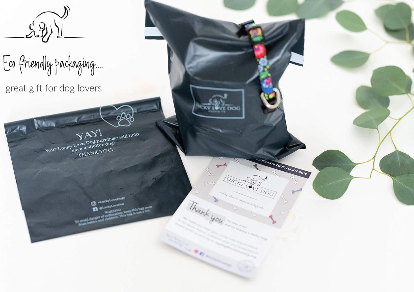 Lucky Love Dog, Adjustable Fun Style Collar and Leash Set for Dogs, Bright Color Matching Dog Collar and Leash - (Small, SOCO Combo)