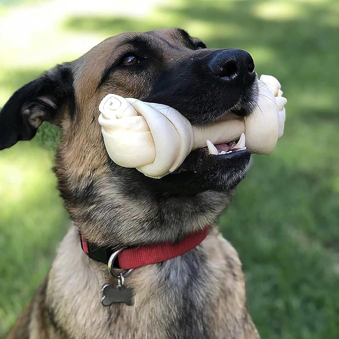 Pet Factory 100% Made in USA Beefhide 4" Knotted Bones Dog Chew Treats - Natural Flavor, 24 Count/1 Pack