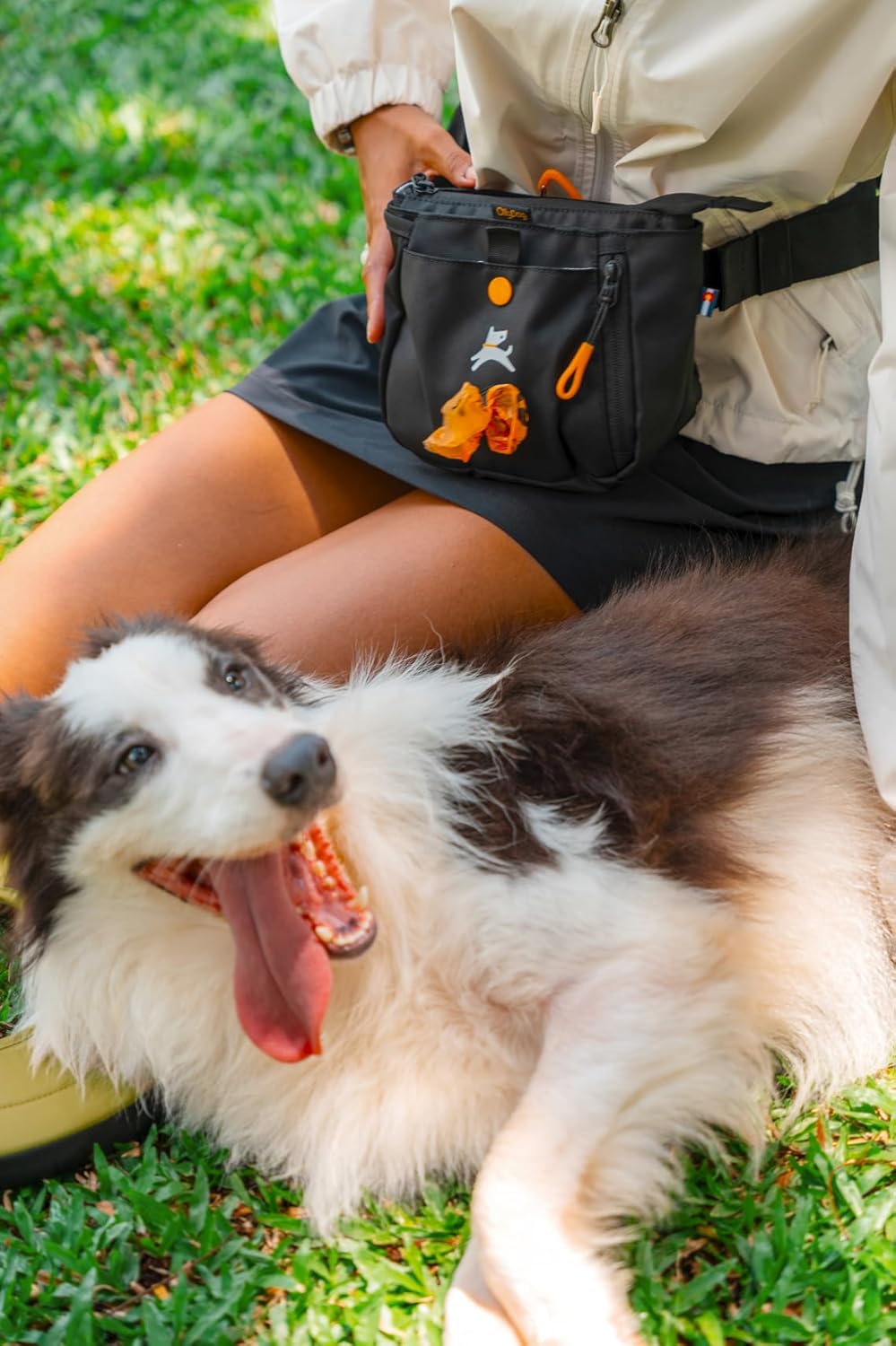 OllyDog Backcountry Day Bag | Hands-Free Dog Training Treat Pouch | Fanny/Hip Pack with Zipper Closure & Built-in Poop Bag Dispenser | Removable Waist Clip (Raven S'25)