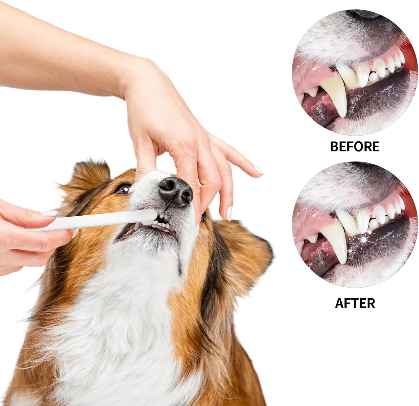 Newday Small Dog & Cat Toothbrush 5 Set, Micro Nano Bristles to Clean pet Teeth Toothbrushes, Puppy Dogs Pet Tooth Cleaning Kit with Storage Box(White