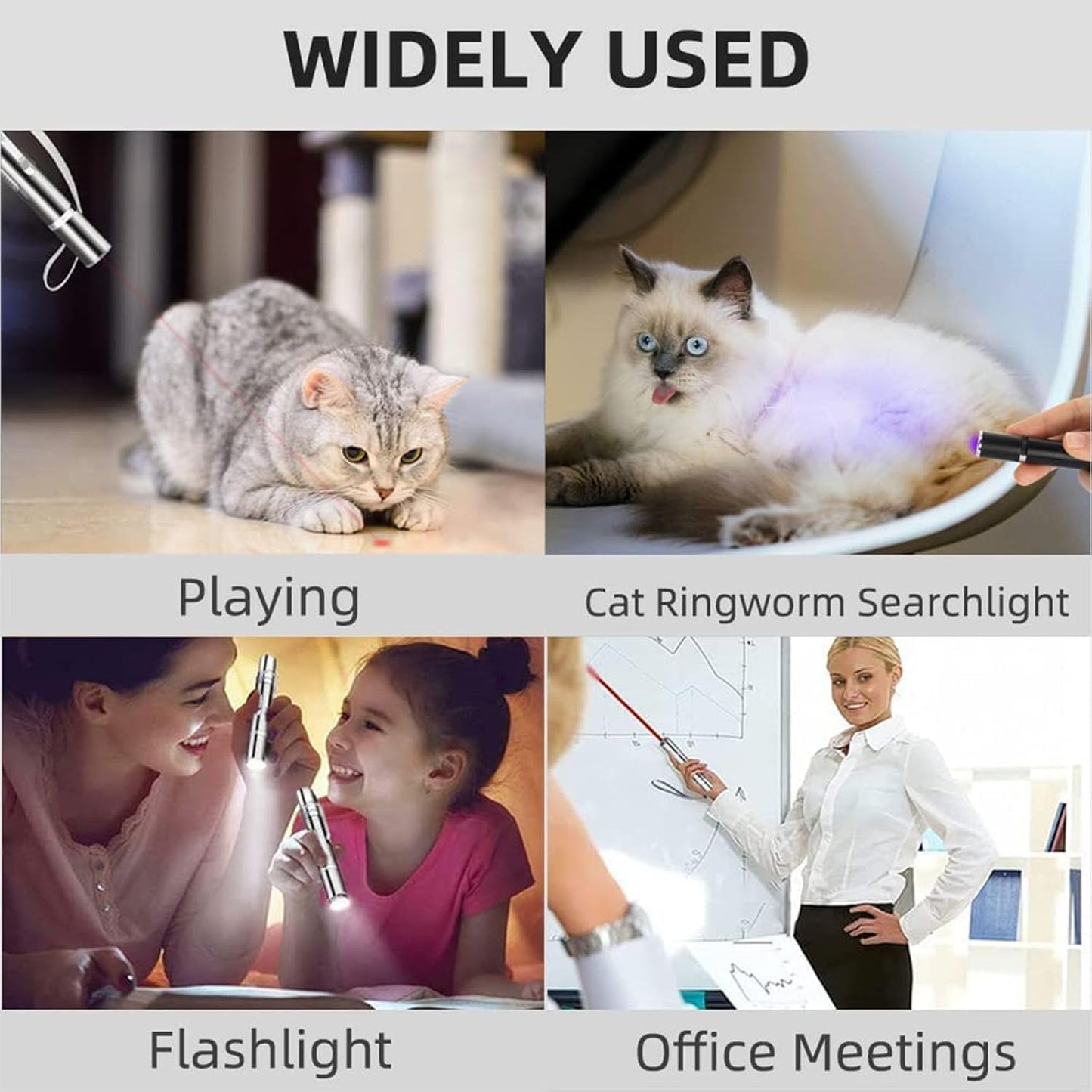 Cat Laser Pointer Toy, 2 Pack Rechargeable Cat Interactive Toys, Pet Toys