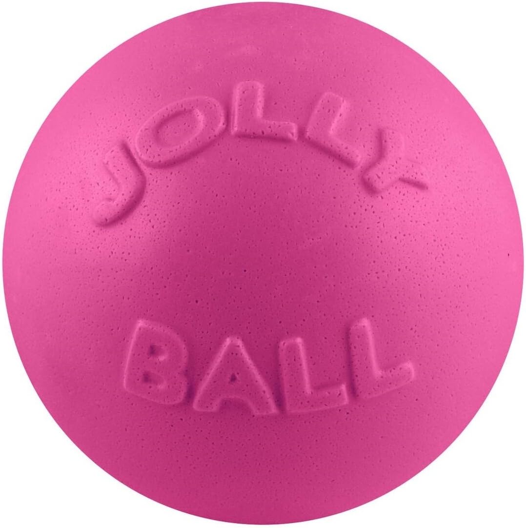 Jolly Pets Bounce-n-Play Dog Toy Ball, 8 Inches/Large, Orange, (Model: 2508 OR)