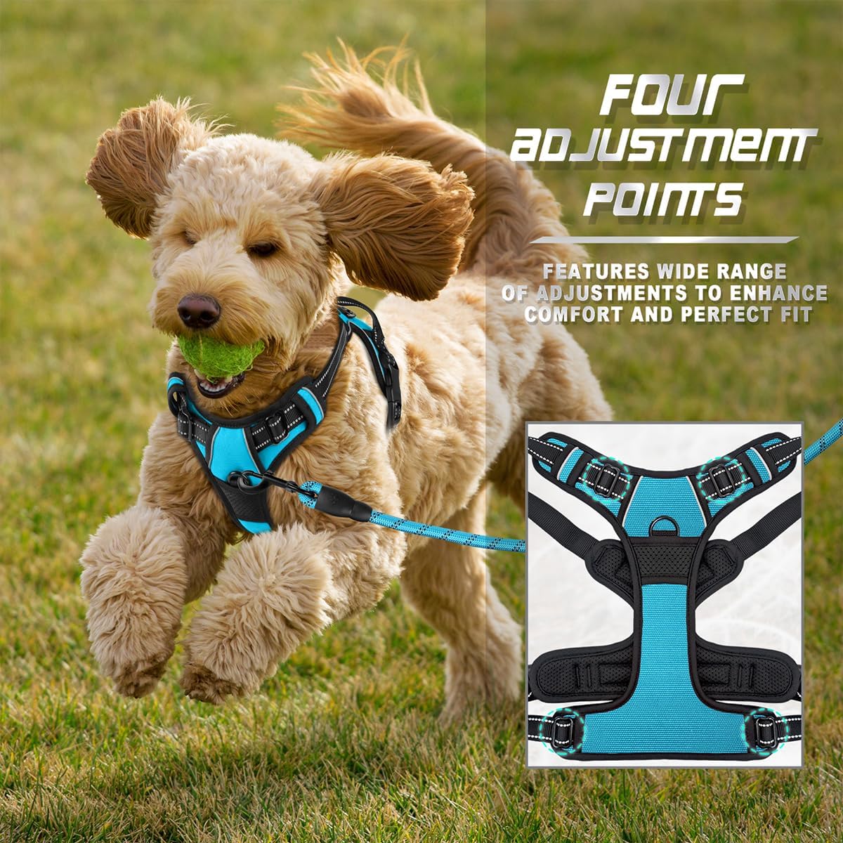 BARKBAY No Pull Dog Harness Front Clip Heavy Duty Reflective Easy Control Handle for Large Dog Walking(Blue,XS)
