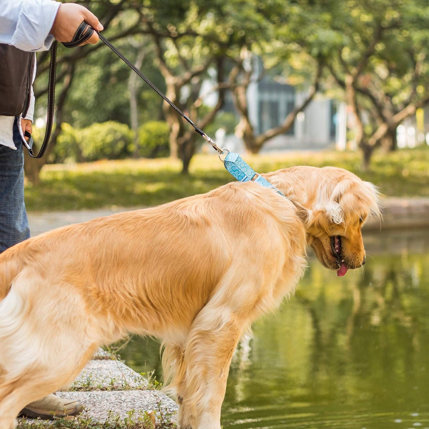 Martingale Collars for Dogs, Sky Blue, Large, Neck 17 Inch -25 Inch, Dog Collar No Pull No Escape for Walking Training