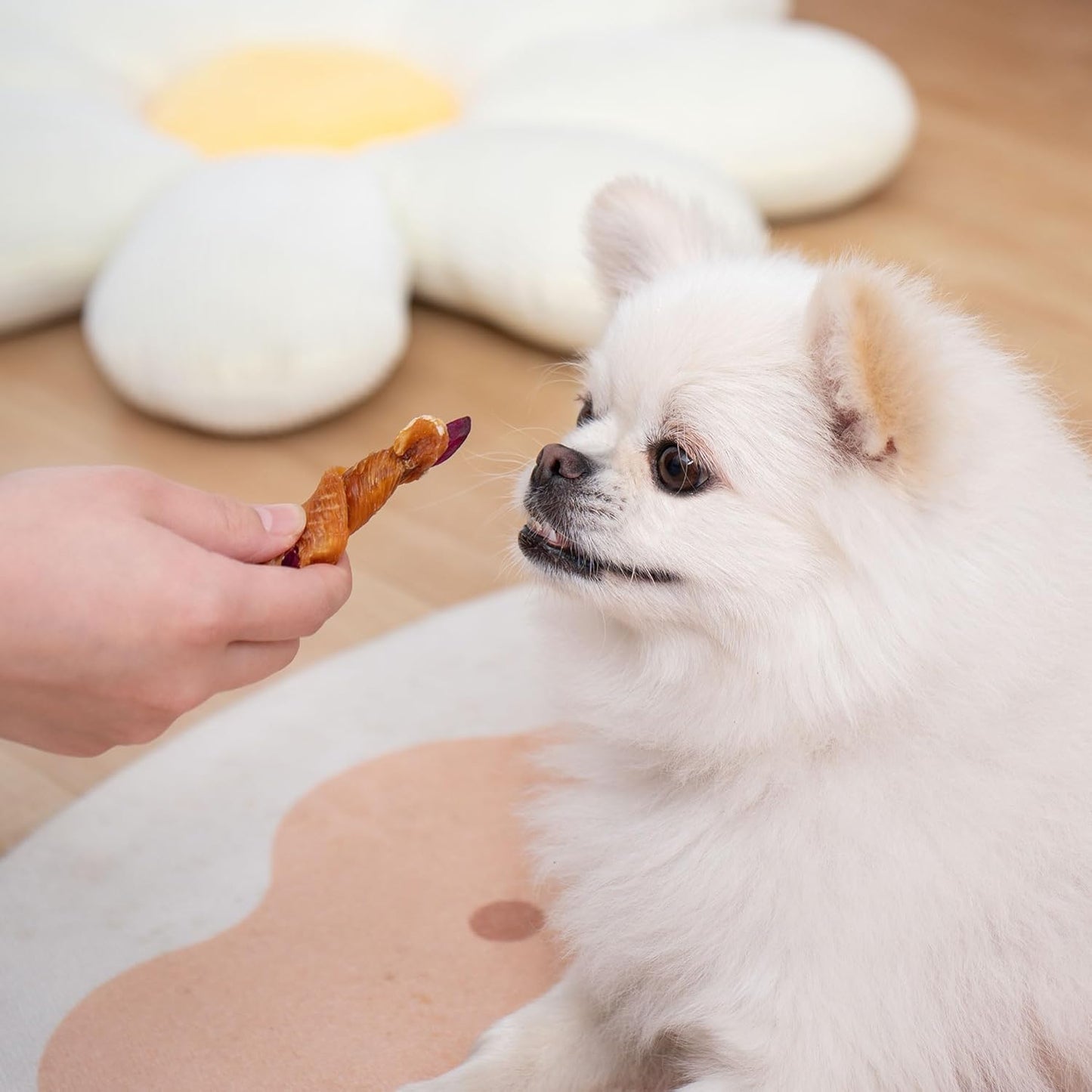 MON2SUN Rawhide Free Dog Treats, Chicken Wrapped Purple Sweet Potato Snacks, Healthy and Natural, Training Treats for Small Dogs, 10.6oz (30 Count - Pack of 1)