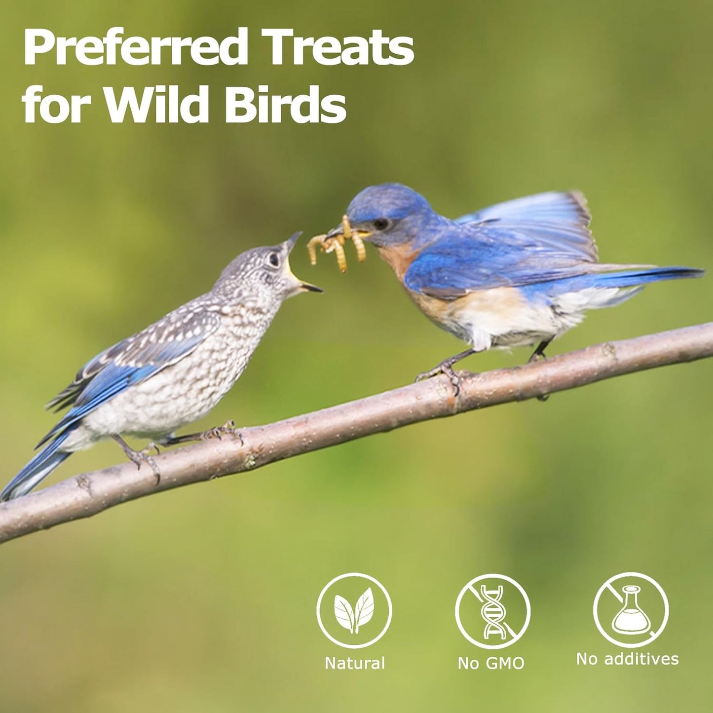 5LB Dried Black Soldier Fly Larvae for Chickens Treats Bulk - Non GMO BSF Larvae 85~180X More Calcium Than Dried Mealworms for Laying Hens, Chicken Worms for Wild Birds Natural Insect Poultr Feed