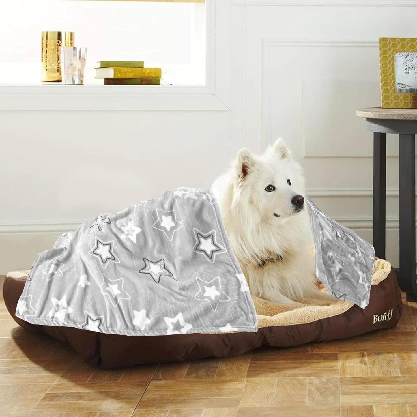 Dog Blanket,Super Soft Fluffy Premium Fleece Pet Puppy Blanket for Large Medium Dog Cat Mat Cover for Bed Couch,Star Print,Gray(41 x 31 Inch)