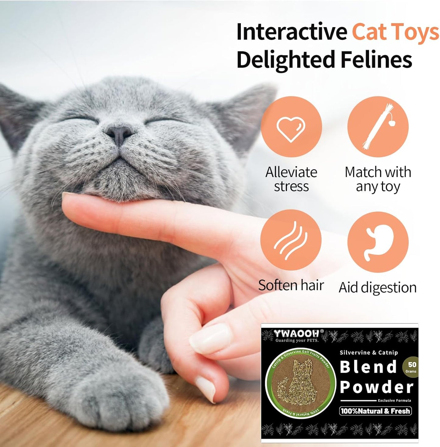 Catnip & Silvervine Powder – 50g Blend of Silvervine Gall Fruit & Catnip, Non-Addictive, for All Cat Ages, Multi-Use with Toys, Scratchers & Protecting Furniture, with 5 Little Pouches