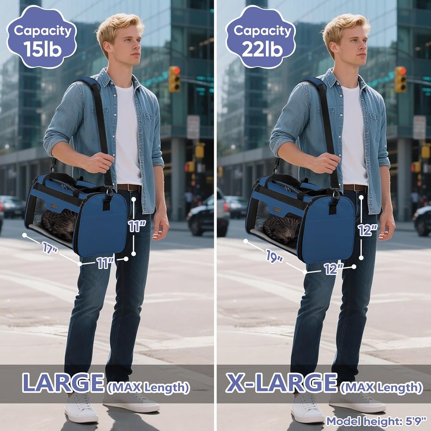 BALEINE Cat Carrier, Puppy Dog Carrier for Small Medium Pets Up to 15 Lbs, Soft-Sided Dog Travel Bag with Safety Zippers, Collapsible Pet Carrying Case (Blue, L, 17"x11"x11")