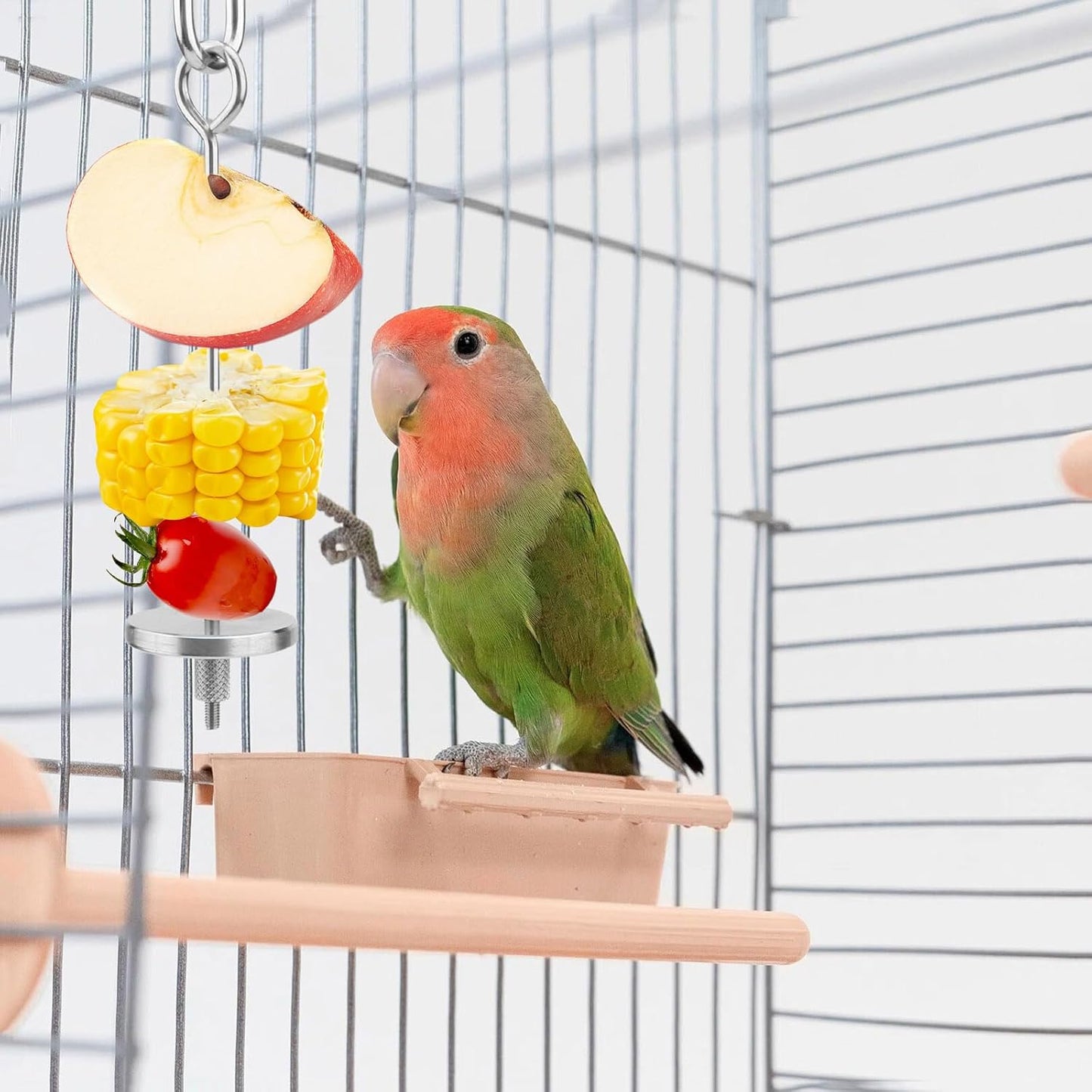 Hypeety Bird Fruit Vegetable Holder Stainless Steel Vegetable Skewer Hanging Feed Tool for Parrot Budgies Parakeet Cockatiels Conure Lovebirds Finch Hamster Rat Gerbil (4.7inch,12cm)