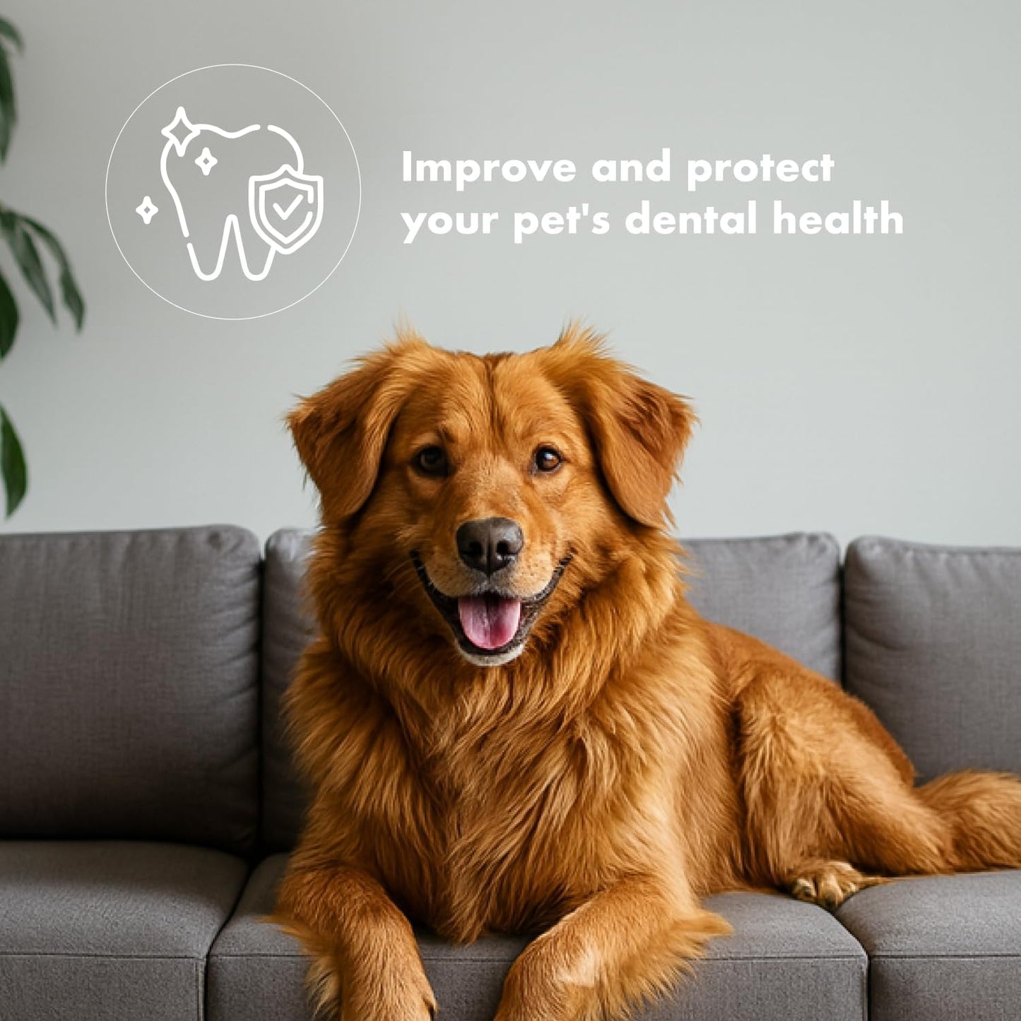 King Lou Chicken Treats – Whole Dehydrated Chicken Feet Chews – Protein-Rich Collagen Chews for Dogs – Single Ingredient Crunchy Treats – 120 Count