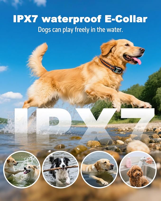 2-in-1 Dog Shock Collar with Remote & Bark Collar - Smart Anti Barking Dog Electric Training Collar with 5 Adjustable Sensitivity & 3300FT for All Breeds IPX7 Waterproof E-Collar for 2 Dogs