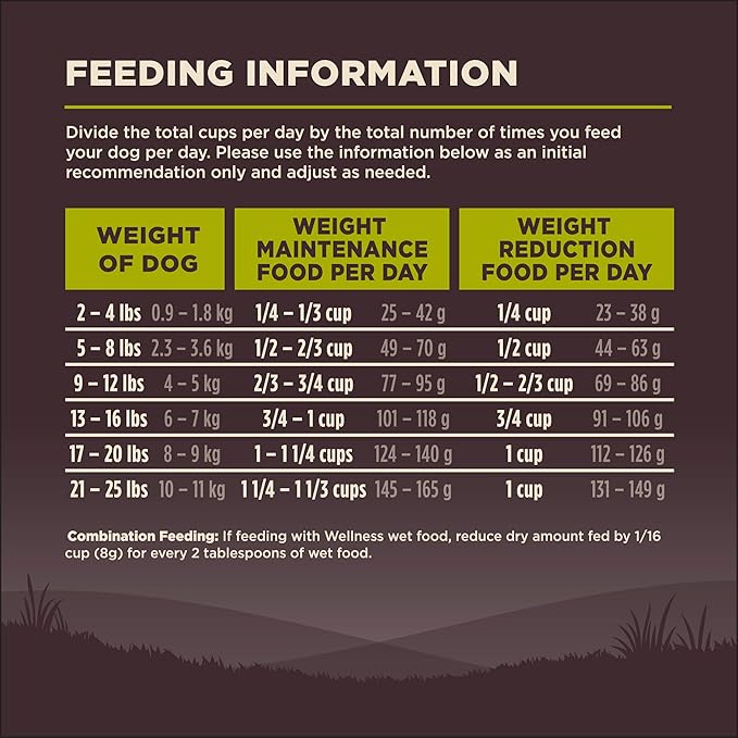 Wellness CORE Dry Dog Food, Small Breed, Grain-Free, High Protein, Natural, Healthy Weight Turkey & Chicken Recipe, (4-Pound Bag)