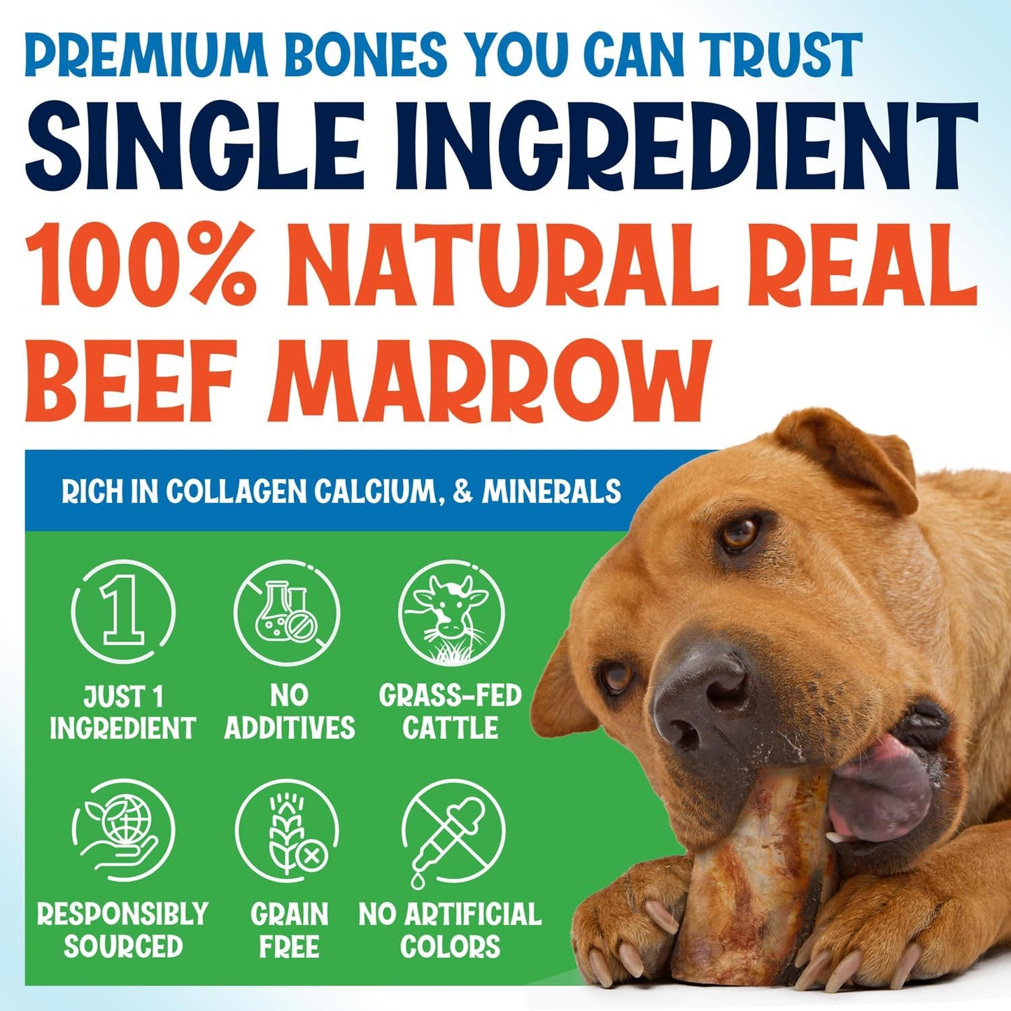 Marrow Bones for Large Dogs, 6 inch Natural Dog Bones for Aggressive Chewers, Long Lasting Treats, Grain-Free, Rawhide Alternative, Dental Health Snack, USA Packaged, Low Odor (6 Pack)