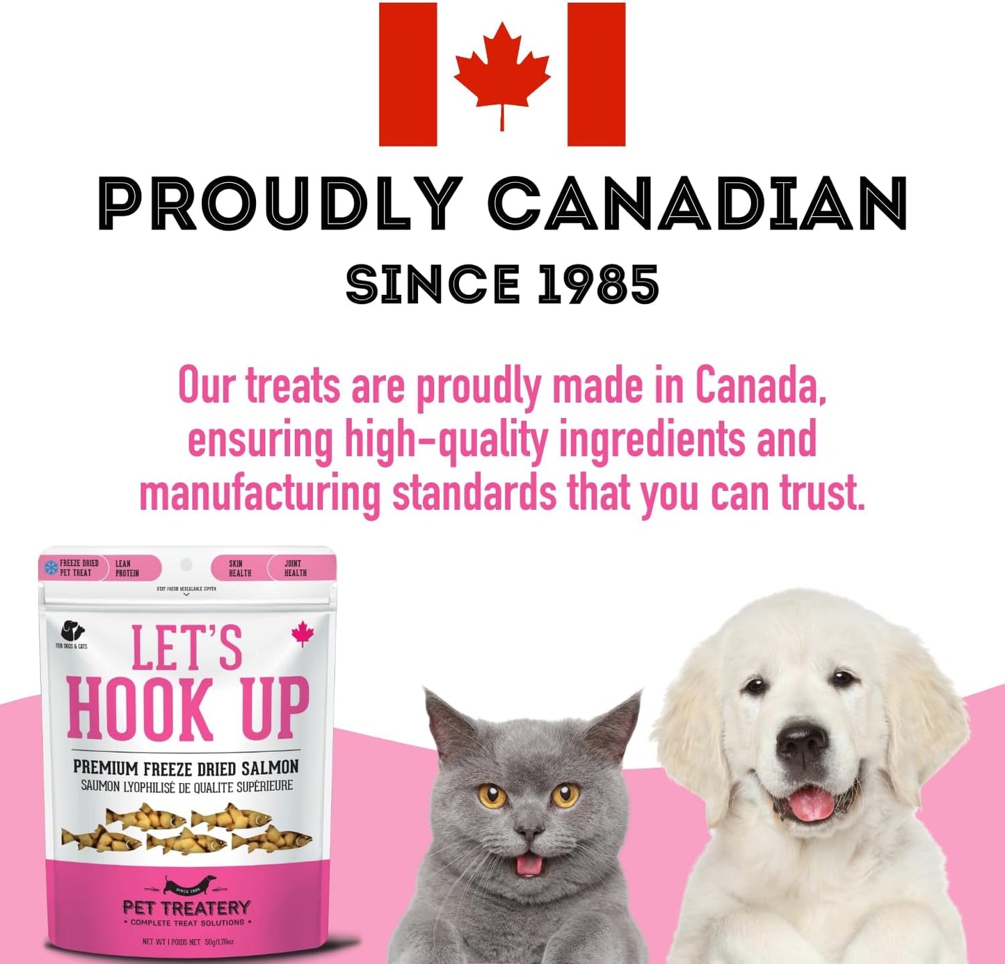 Dehydrated Wild Salmon Treats for Dogs & Cats (1.76 oz, Pack of 1) Single Ingredient to Maintain Nutrients Vitamins and Healthy Oils Made in Canada