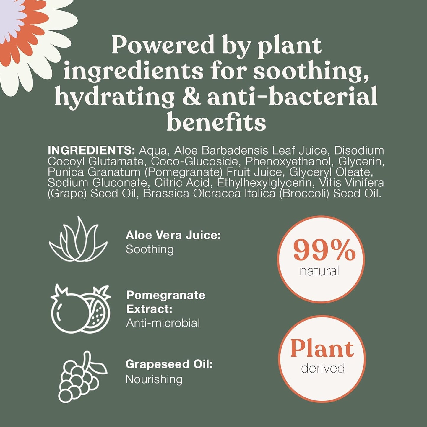 Dandylion Clean Paws | No-Rinse Dog Paw Cleaner & Puppy Paw Washer | Gentle, Fragrance-Free, pH Balanced Foaming Cleanser with Silicone Bristle Brush | Safe for All Dogs | 5 fl oz