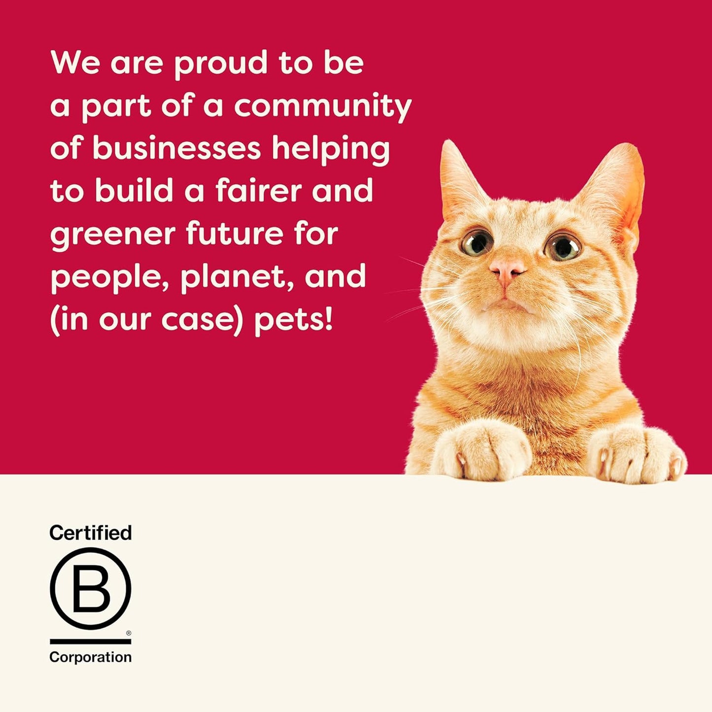 Applaws Natural Wet Canned Cat Food, Limited and Natural Ingredients, High Protein with No Artificial Additives, Holiday Edition Cat Food Variety Pack in Broth (6 x 2.47oz Cans)