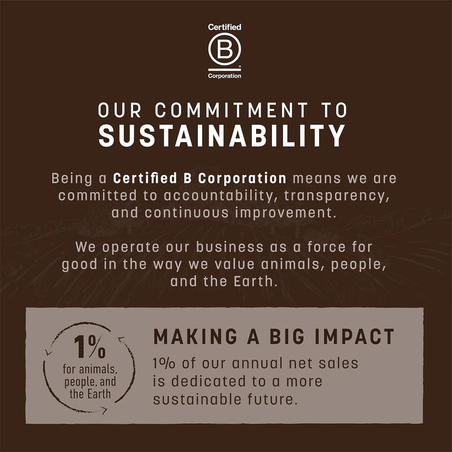 Earth Animal Wisdom Air-Dried Seasonal Pumpkin Spice Recipe Premium Natural Jerky Strips Dog Treats, 4 oz. Bag