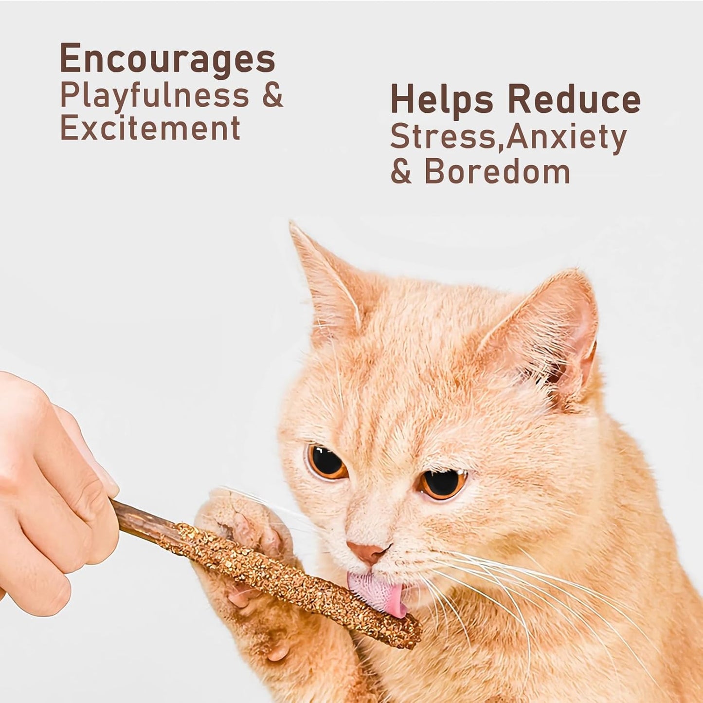 Natural Silvervine Catnip Chew Sticks (12 PC) - Edible Dental Chews for Cats & Kittens, Teething Relief Teeth Cleaning Toys