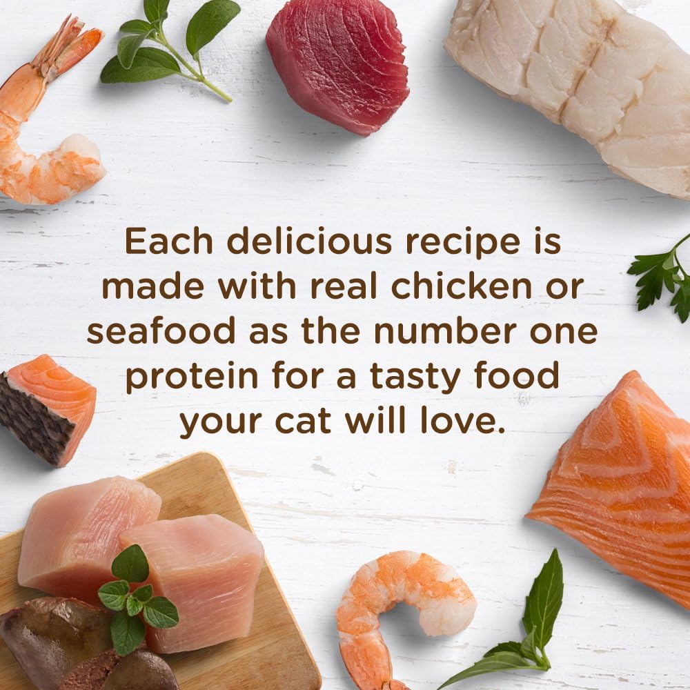 Nutrish Rachael Ray Natural Wet Cat Food, Ocean Fish-A-Licious Recipe, 2.8 Ounce Cup (Pack of 12), Grain Free