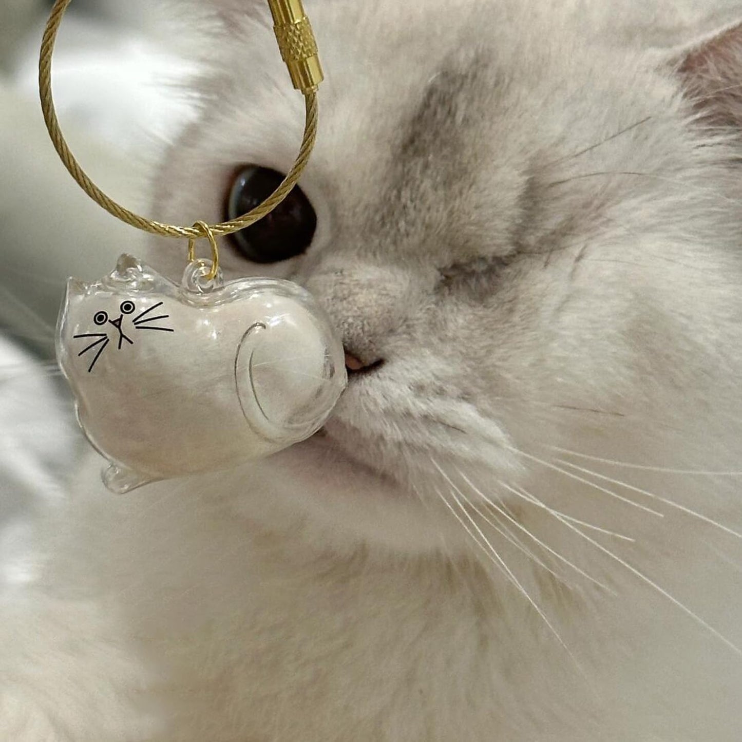 Cat Hair Keychain – Pet Fur Storage Bottle with Tweezer – Cute Keepsake Capsule for Cat Lovers, Portable Hair Holder