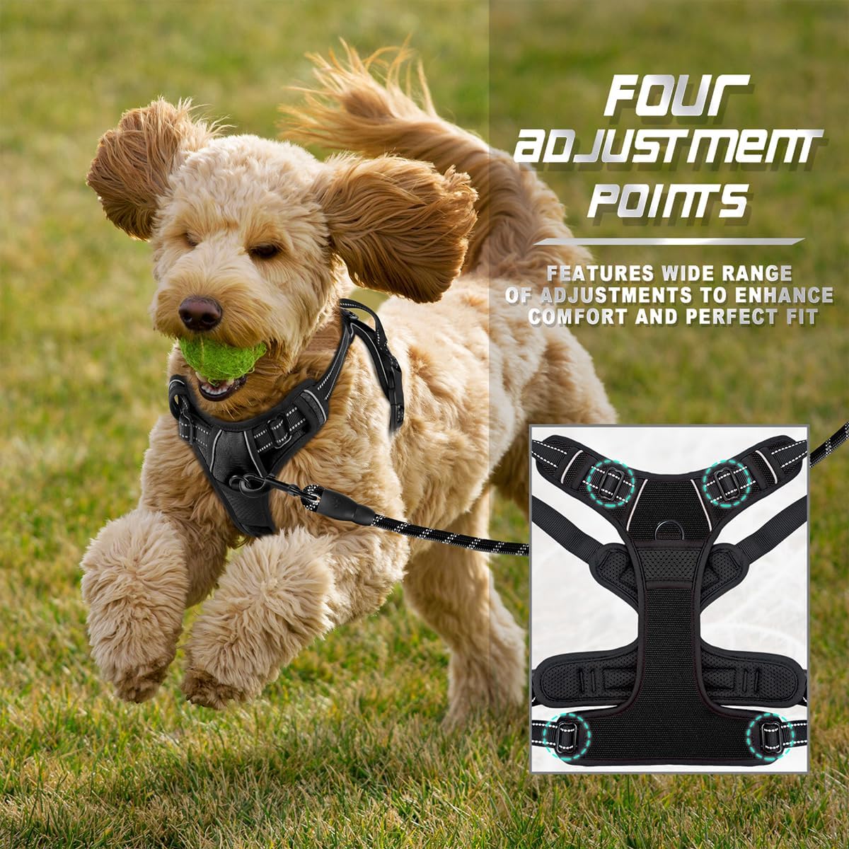 BARKBAY No Pull Dog Harness Front Clip Heavy Duty Reflective Easy Control Handle for Large Dog Walking(Black,XS)
