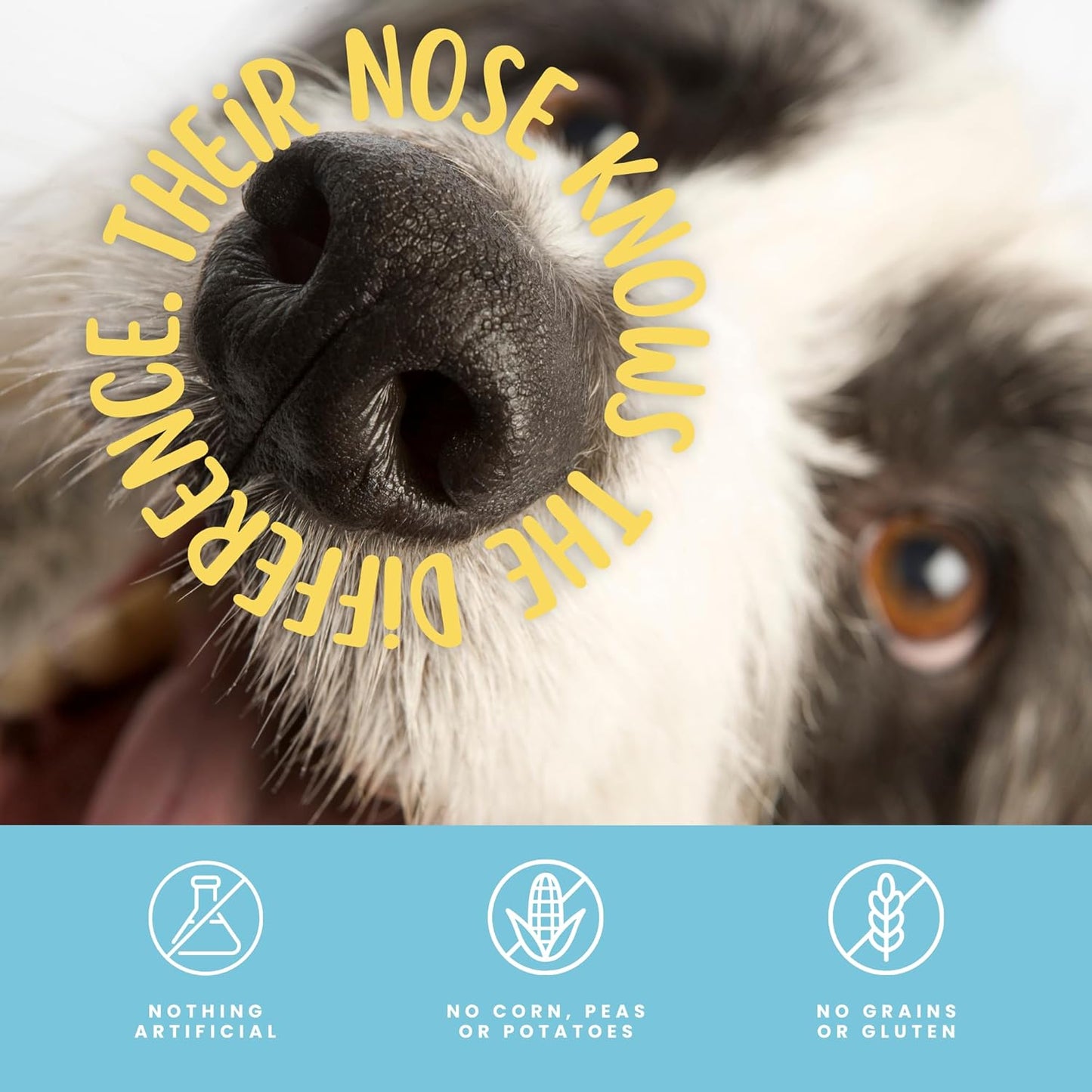 hotspot pets Braided Bully Stick Rings for Dogs - Premium All Natural Long Twisted Beef Pizzle Dog Chew Treats - Grain Free Fully Digestible Rawhide Alternative Bones