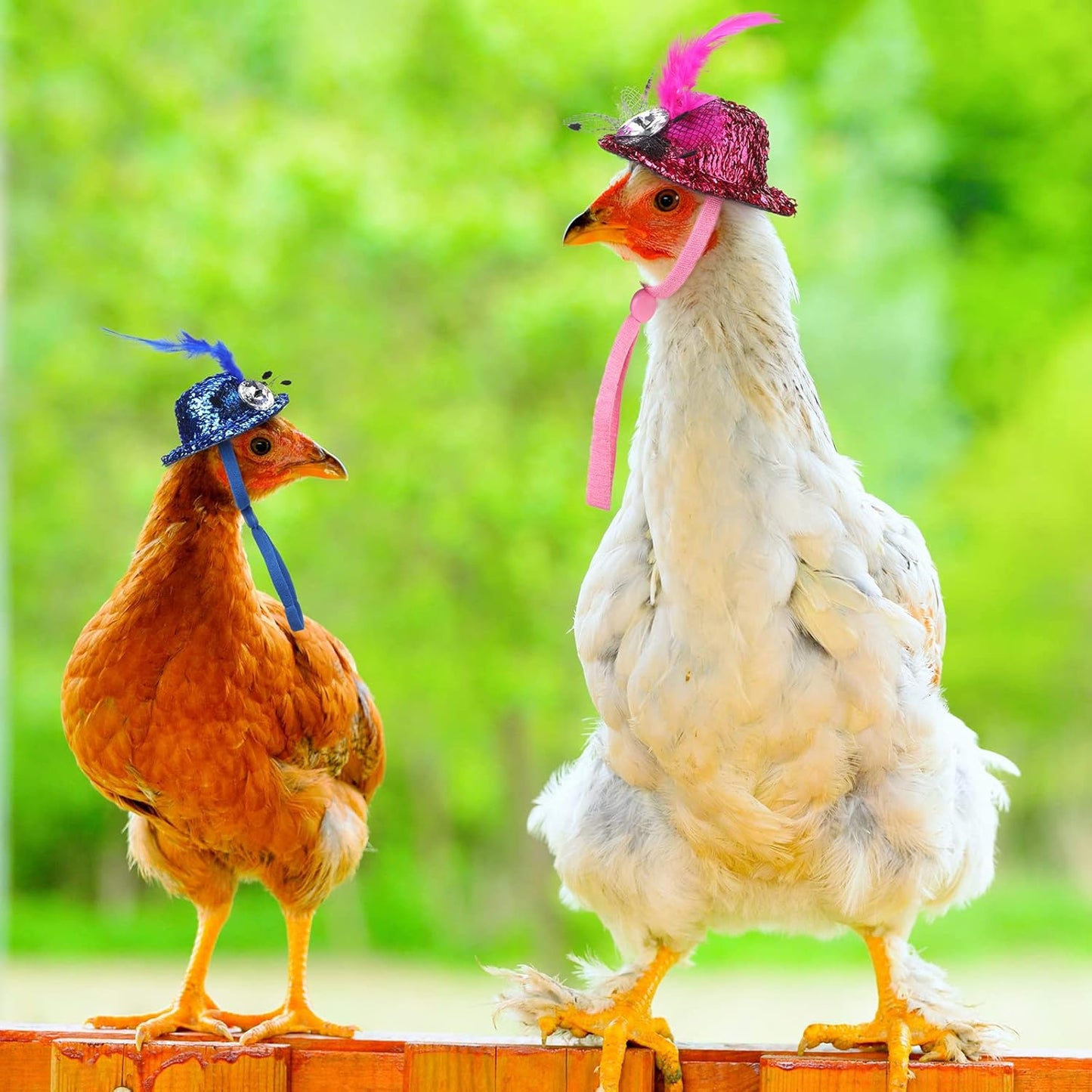 9 Pcs Funny Chicken Accessories Set - Harness, Leash & Hats for Hens, Ducks, Geese & Parrots - Adjustable, Training Walking Supplies