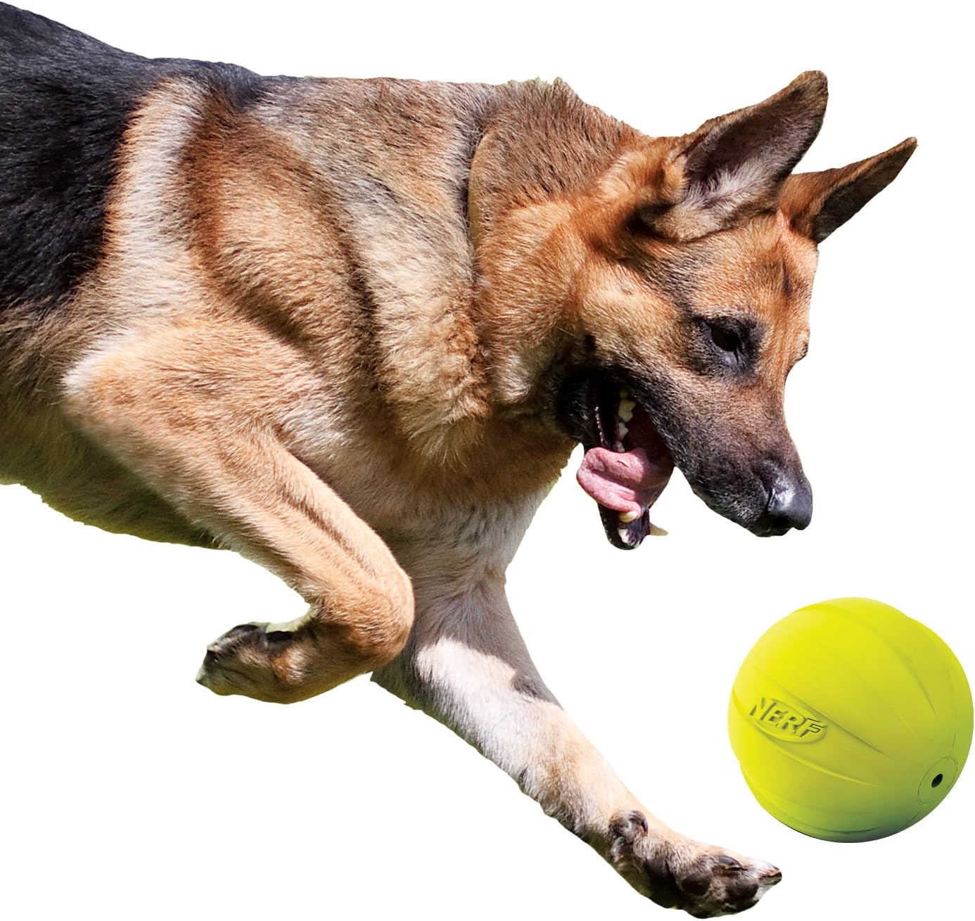 Nerf Dog Rubber Ball Dog Toy with Squeaker, Lightweight, Durable and Water Resistant, 4 Inch Diameter for Medium/Large Breeds, Single Unit, Green