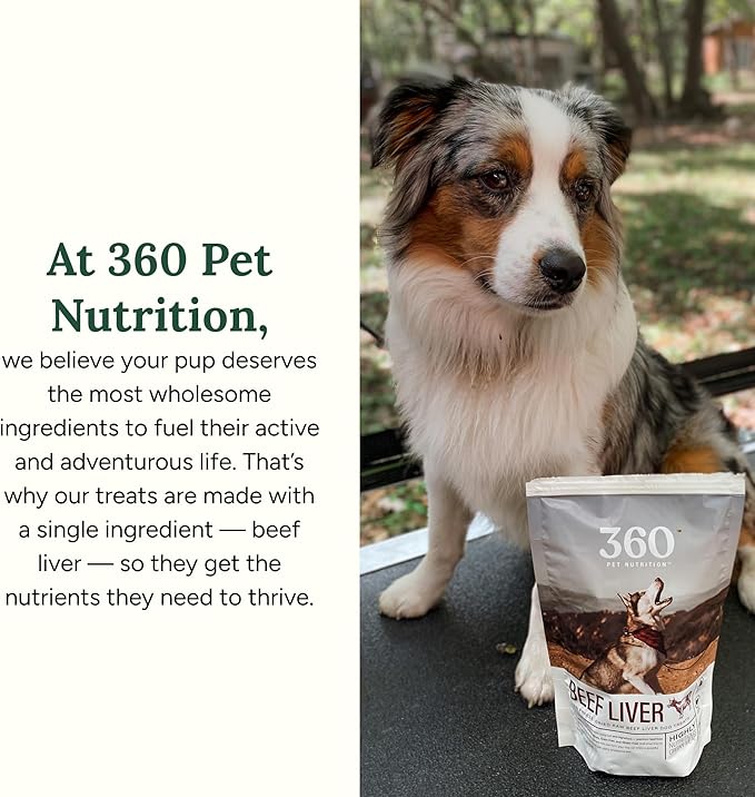 360 Pet Nutrition Freeze-Dried Raw Beef Liver Dog Treats – Single Ingredient, High Protein, Grain-Free, All-Natural Training Snacks, Made in USA, 4 oz