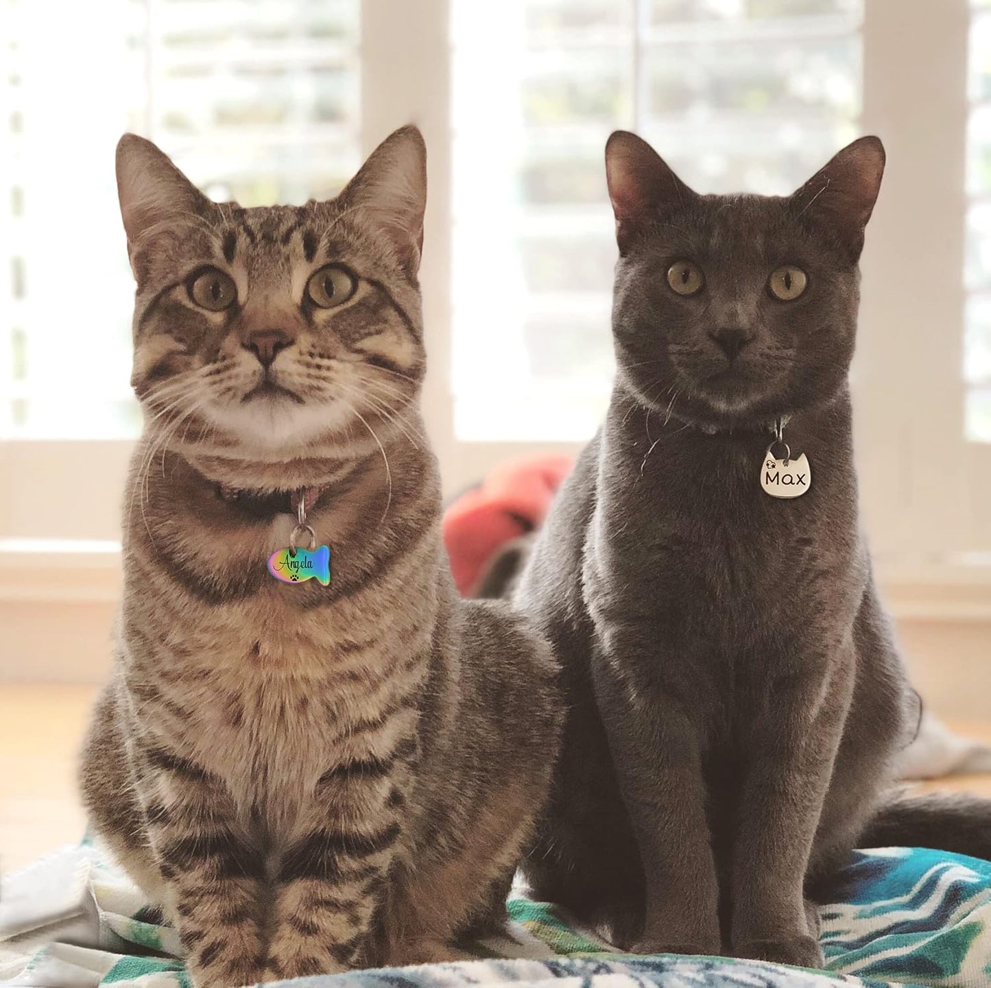 Anavia Small Size Dog Cat ID Tags, Small/XS Personalized Color Plated Stainless Steel Puppy Kitten Name Tags, Customized Engraved Nameplate Pet Collar Tag (Rose Gold, Fish)