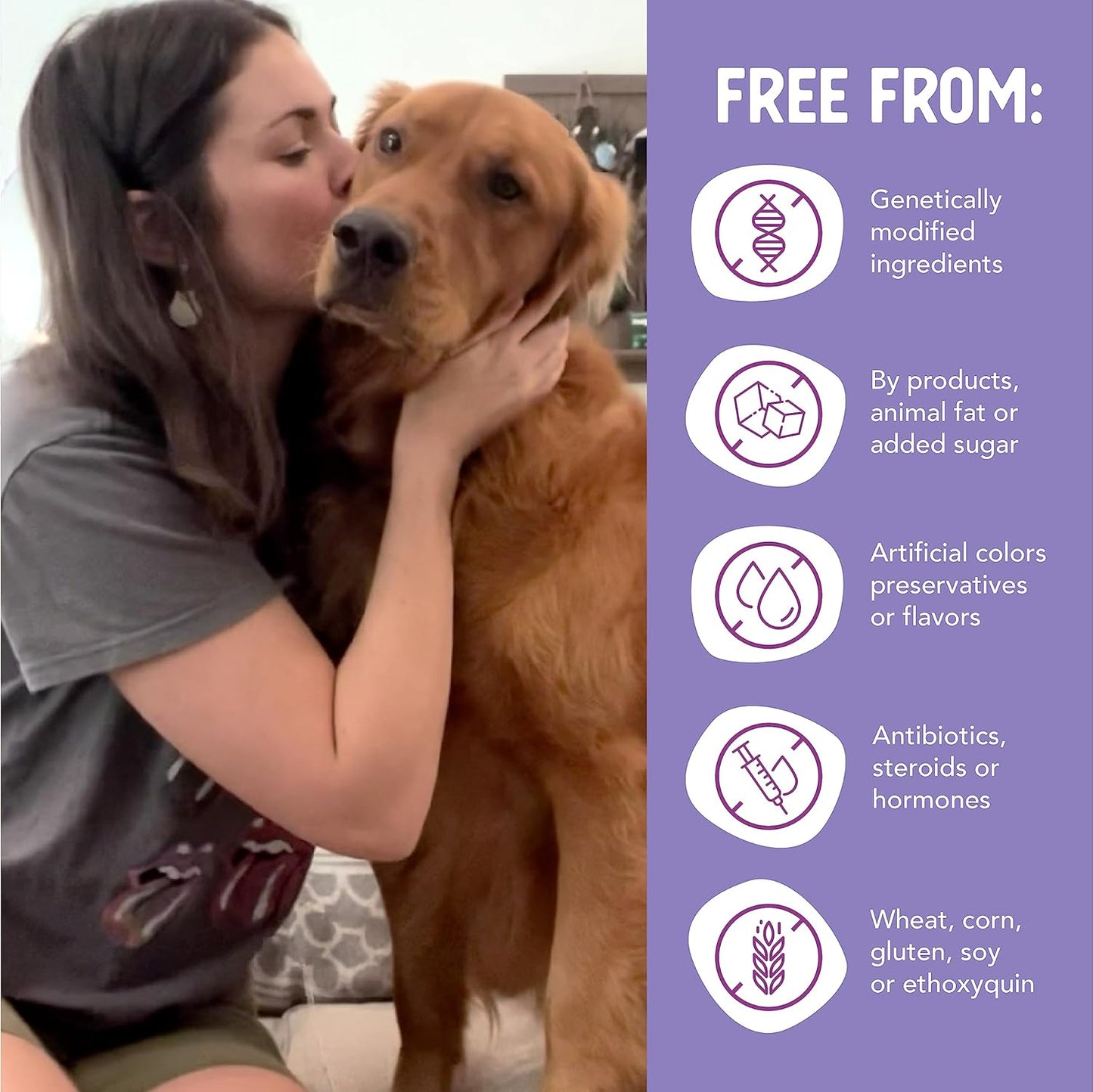 Health Extension Lamb Entrée Wet Dog Food, 12.5 oz – Protein-Rich Recipe, Hydration Support, Ideal for Sensitive Stomachs (Case of 12 Cans)