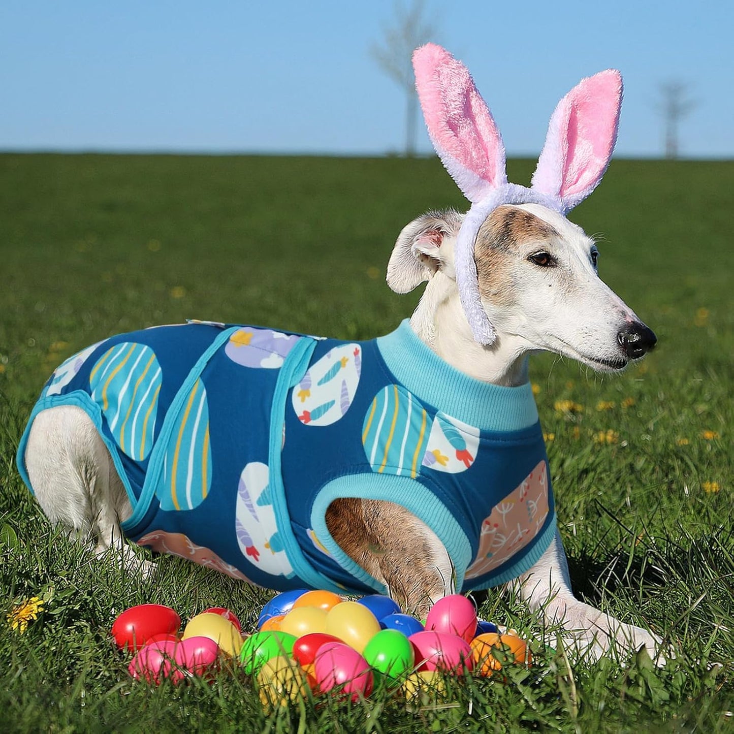 Kuoser Dog Surgery Recovery Suit, Doggie Surgical Bodysuit for Female Male Dogs, Pet Anti Licking Shirt for Spay Neuter Dog Cone Alternative