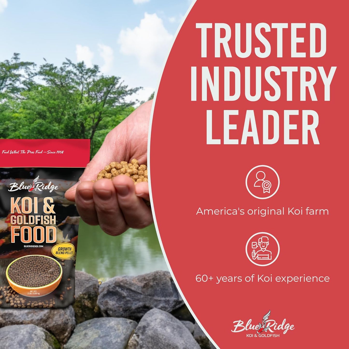 Blue Ridge Koi Fish Food 2lb - Koi Food 3/16” Large and Mini Blend Growth Formula, Goldfish Food, Premium Fish Food for Ponds, Ponds Fish Food, Floating Pond Pellets