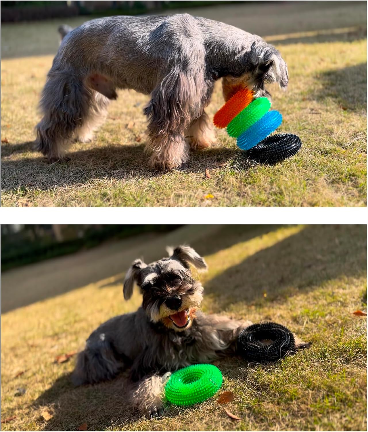 ADUCK Dog Squeaky Chew Toys for Aggressive Chewers, Small Medium Large Dogs Teeth Cleaning Soft Natural Rubber Float Toy for Indoor Outdoor Water Pool, Donut Ring Design 4.92 inch, Black