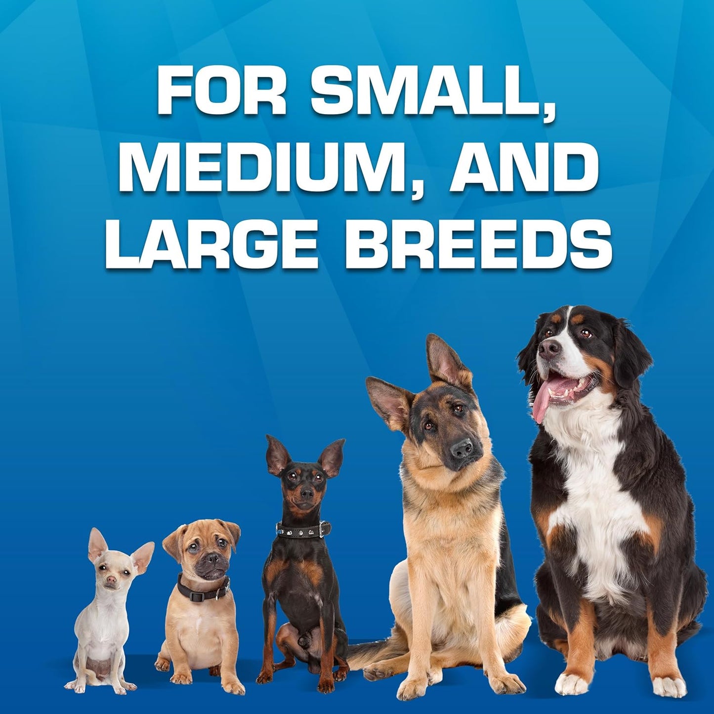 Nerf Dog Toy Gift Set, 3-Piece Set of Outdoor Dog Toys for Tug and Fetch, Includes Spike Squeak Ball, Treat Tug Bone and Exo Squeak Football