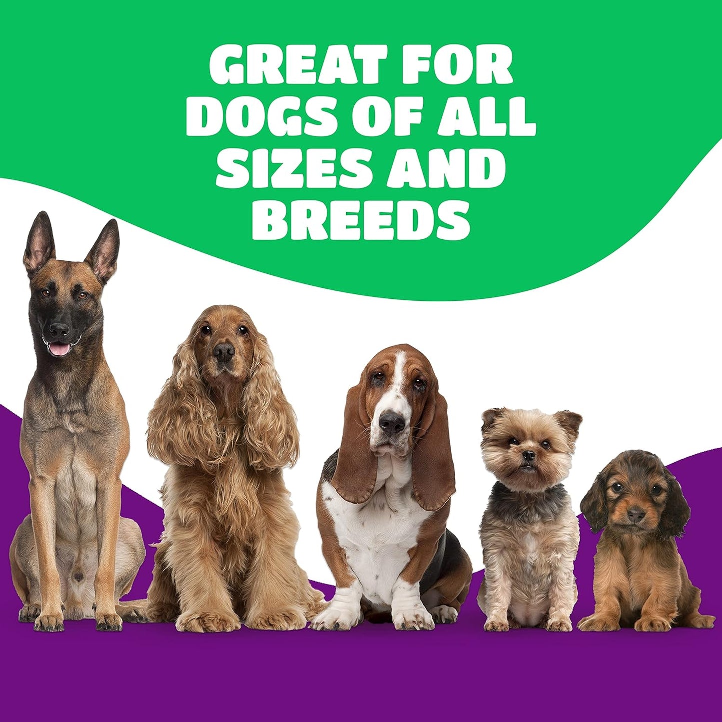 Dog Bones for Aggressive Chewers, Knee Caps for Dogs, Beef Bones for Large Dogs, Medium, and Small, Long Lasting Knee Bone for Dog, 10 Count