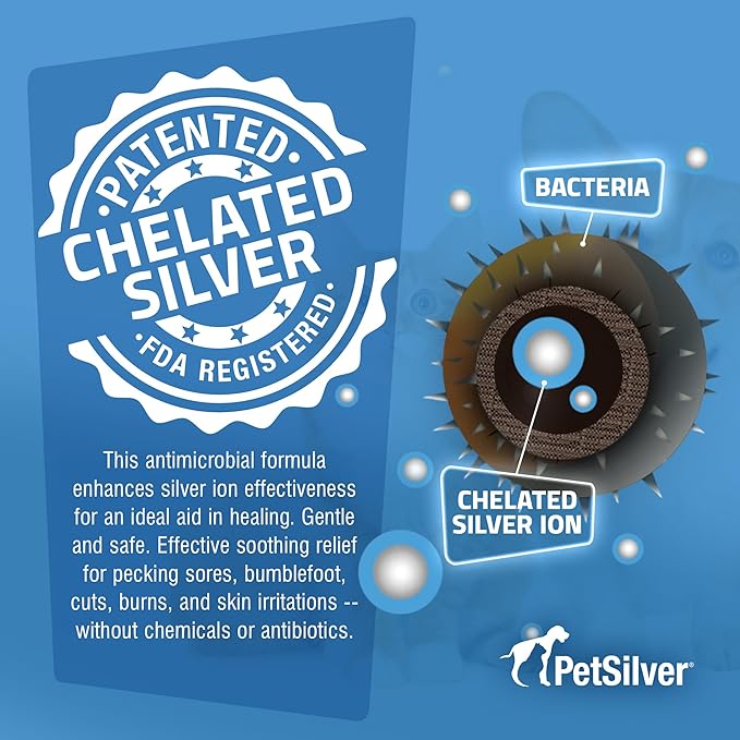 PetSilver Chicken Wound Spray for Chickens & Birds - Patented Silver Solution - Silver Spray for Wounds, Pecking Sores, Bumblefoot, Cuts, Burns, & Skin Irritations - Chicken Care - USA Made - 12 fl oz