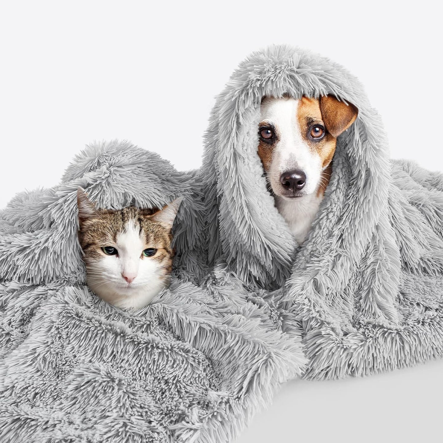 LOCHAS Luxury Fluffy Dog Blanket, Extra Soft and Warm Sherpa Fleece Pet Blankets for Dogs Cats, Plush Furry Faux Fur Puppy Throw Cover, 20''x30'' Light Grey