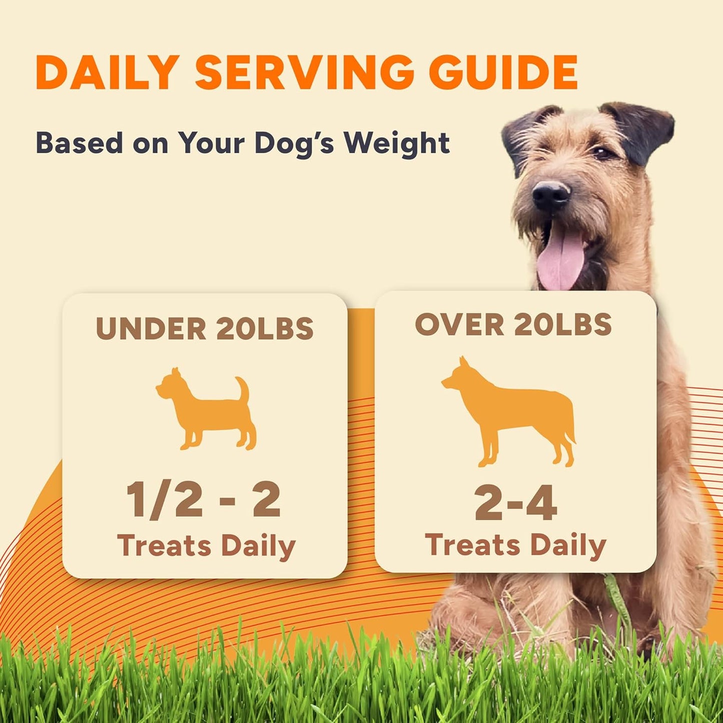 Gaines Family Farmstead Cheese Drizzled Sweet Potato Dog Bones - 8 oz Bag, Grain-Free, All-Natural Dog Treats for Digestion, Skin, Energy & Immunity – Limited Ingredient, Made in USA